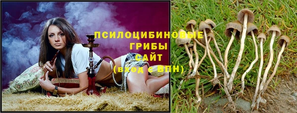 дживик Гусиноозёрск