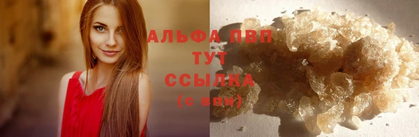 дживик Гусиноозёрск