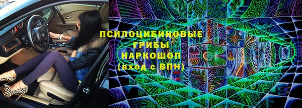 дживик Гусев