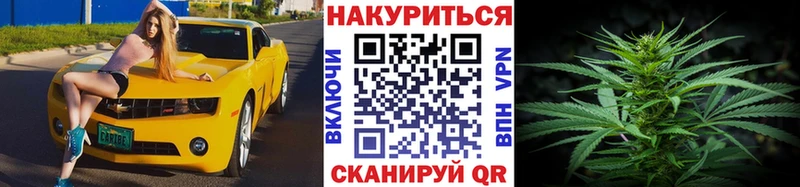 Канабис ГИДРОПОН Михайлов